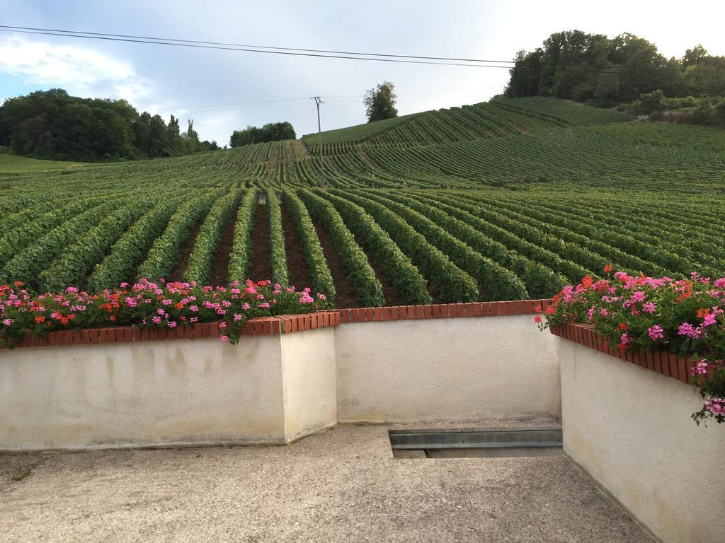 La Loge Du Vigneron Villa Vauciennes  Exterior photo